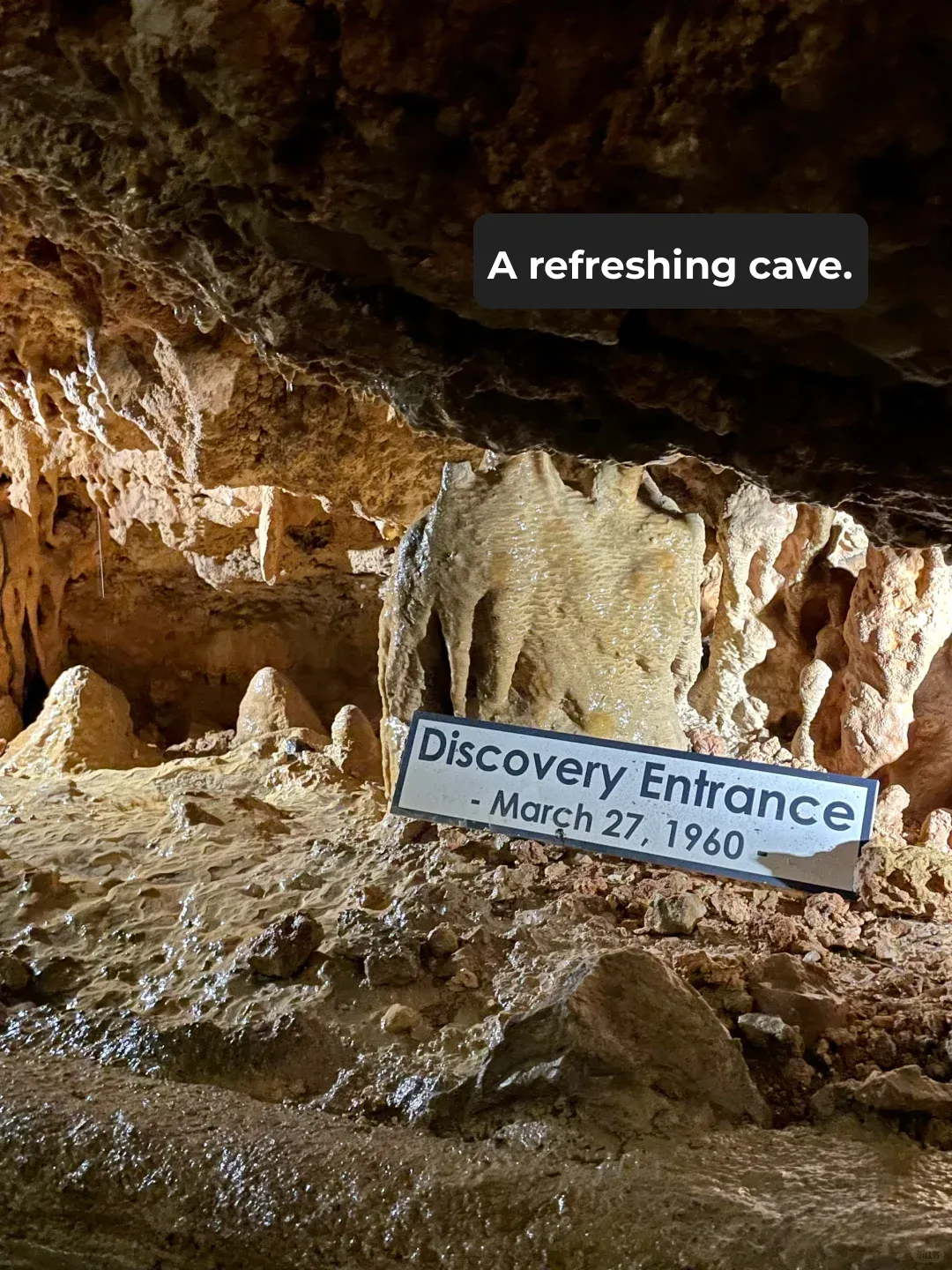 Day Trip from Austin! San Antonio Travel Guide