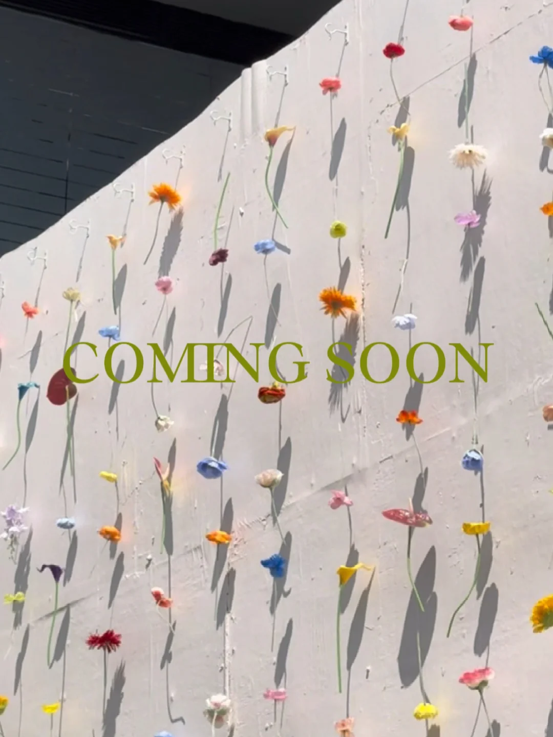 The Flower Wall in NYC's Lower East Side, That's Us 🌷