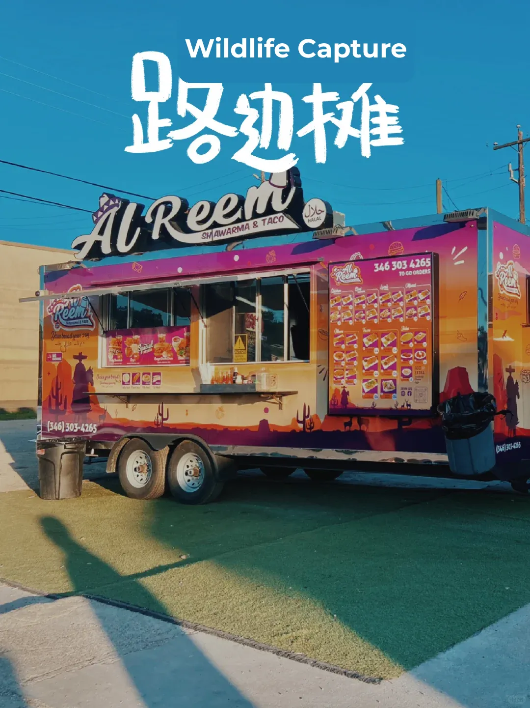 **Delicious and Affordable Middle Eastern Street Food in Houston**