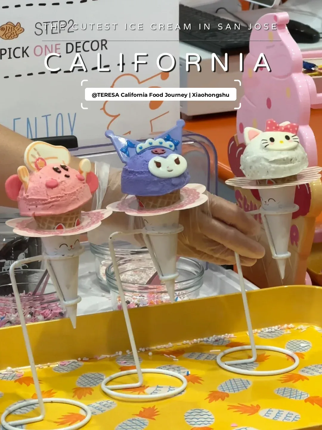 Bay Area South Bay San Jose Adorable Animal Series Ice Cream