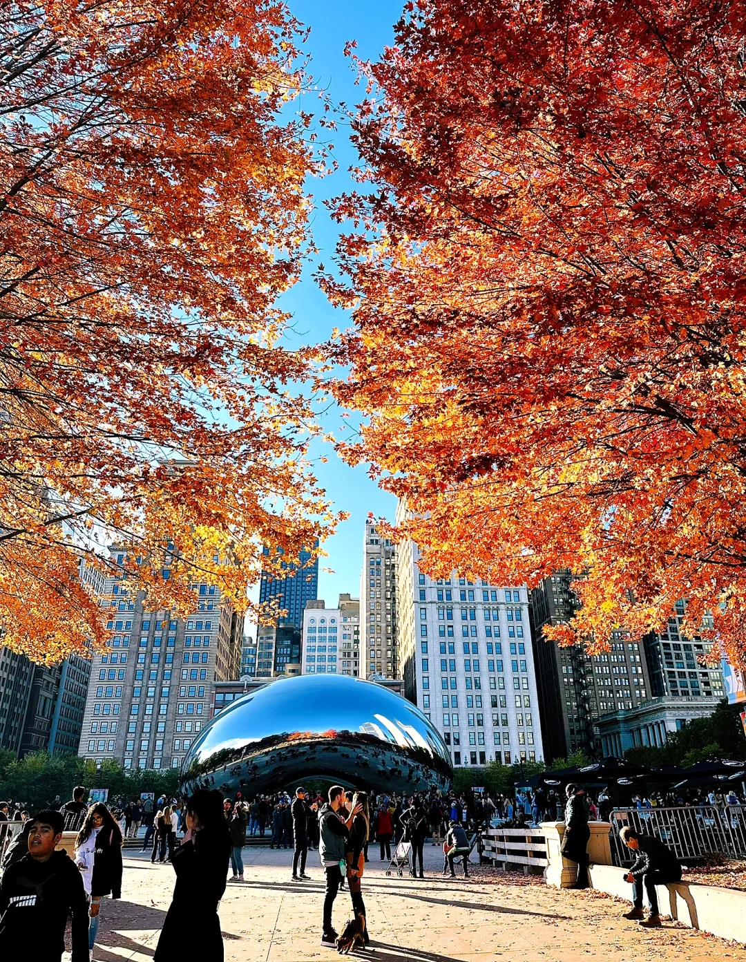 "Chicago in Autumn 🍁: Perfect Spots for Stunning Photos 📸 in Minutes"