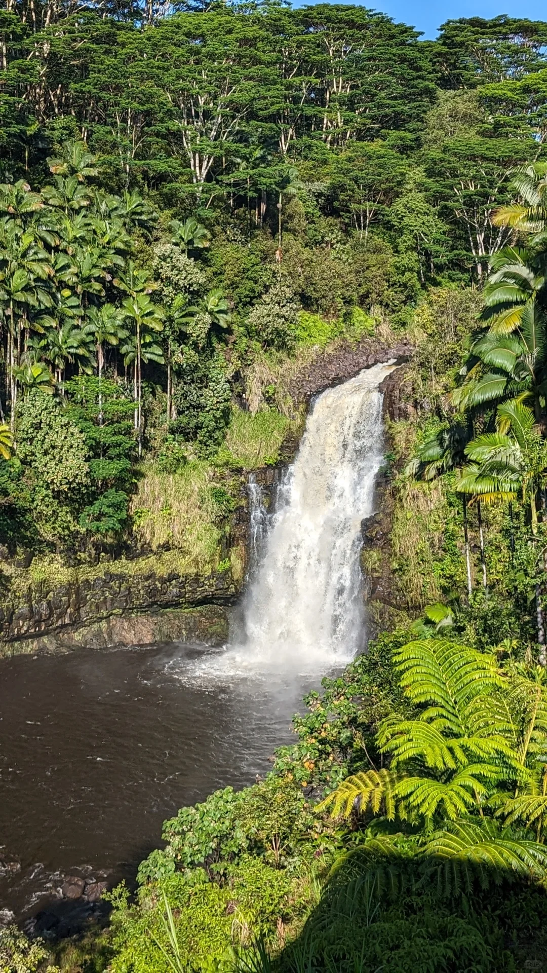 Kulaniapia Falls on the Big Island of Hawaii