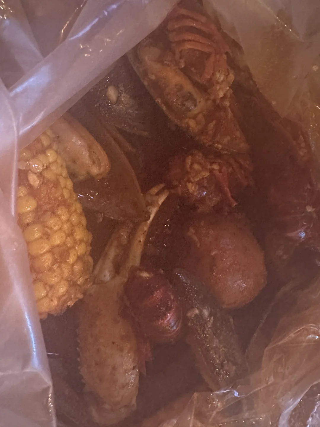 Tampa Diary｜This is Absolutely Delicious!