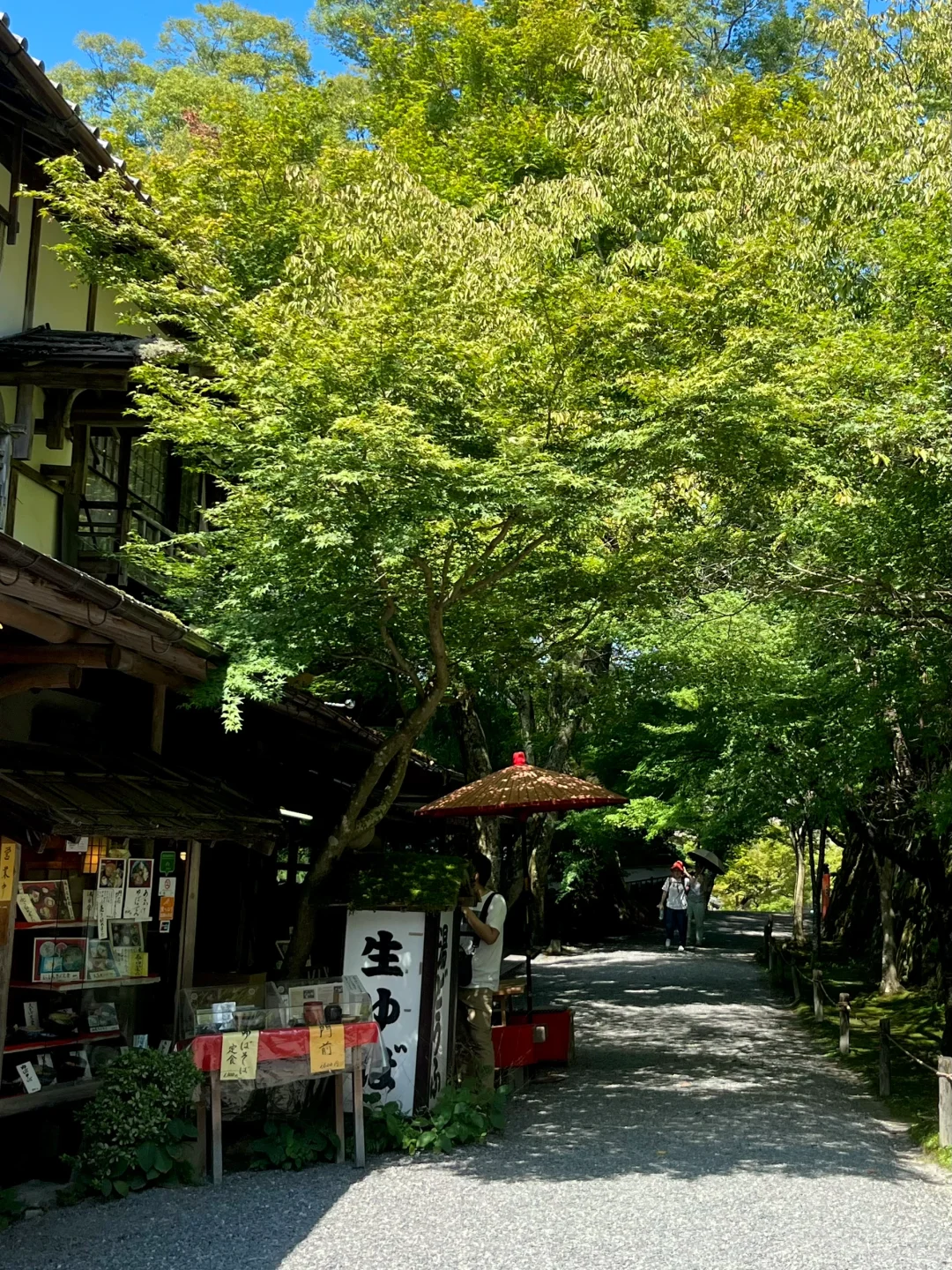 Top Pick in Kyoto, Japan - Hands Down the Best