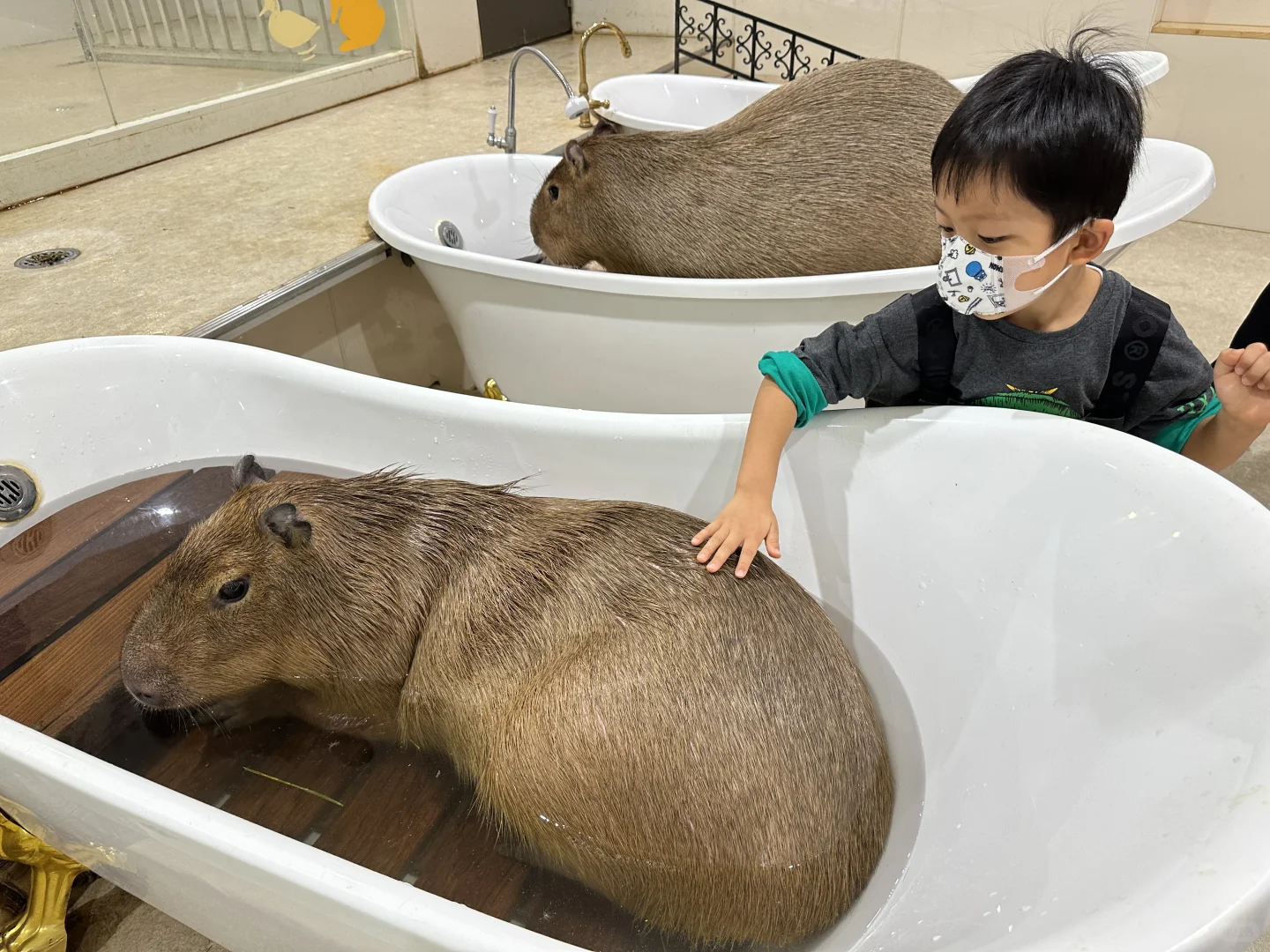 Great Indoor Spots for Kids in Tokyo (Part 2)