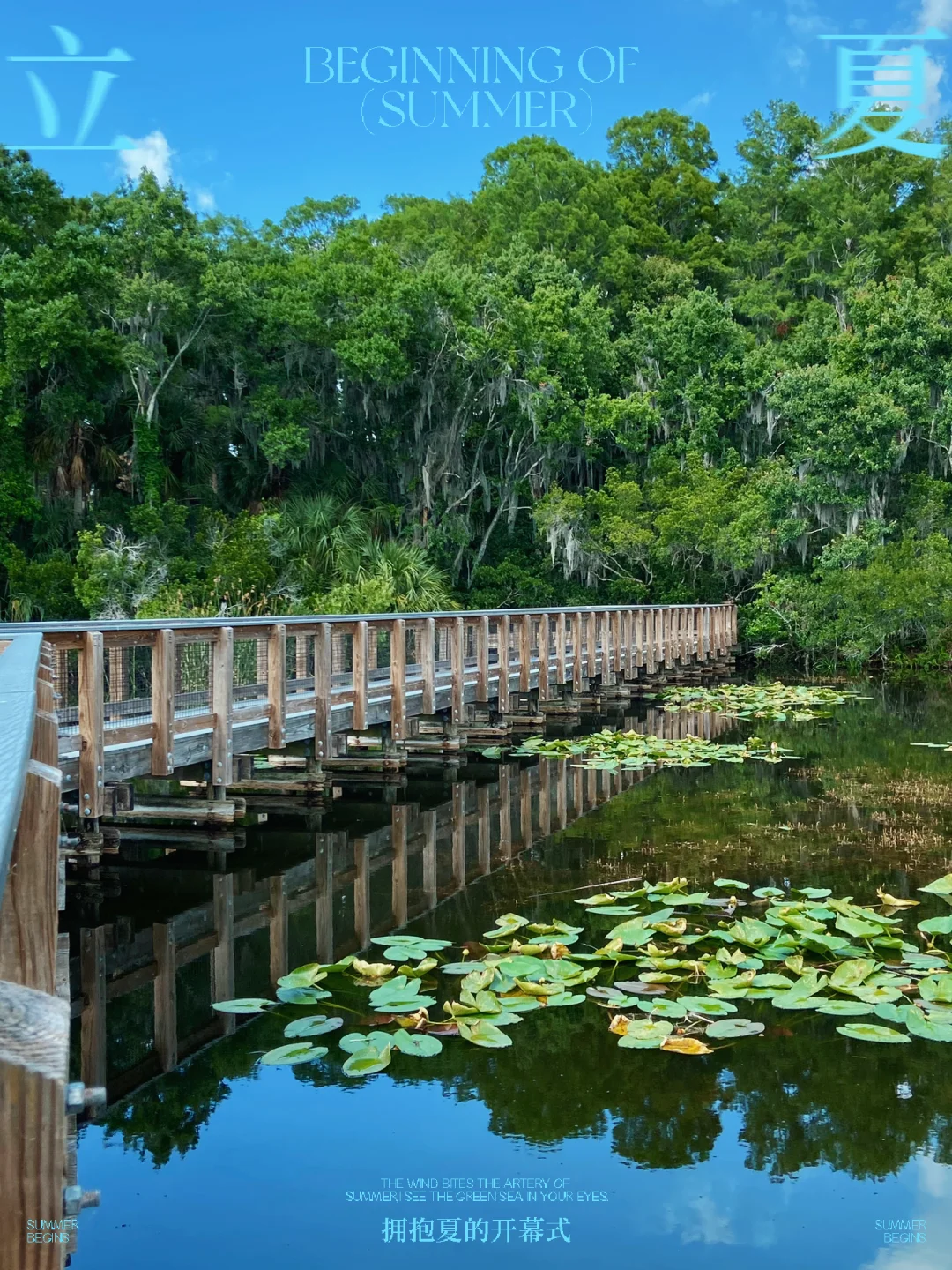 Perfect for Families: Tampa Lakeside Park