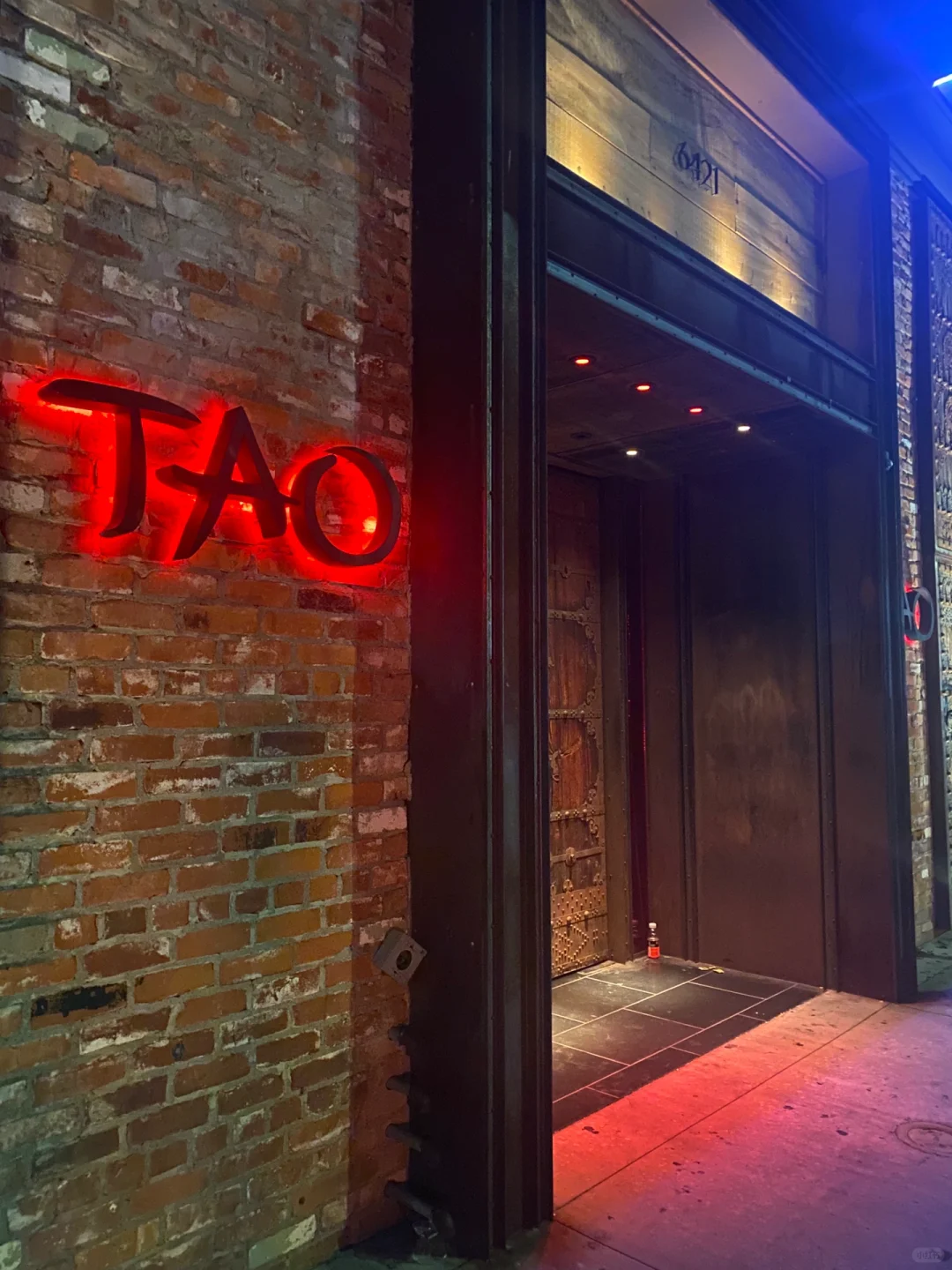 Los Angeles | TAO's Got a Thing for That Buzz