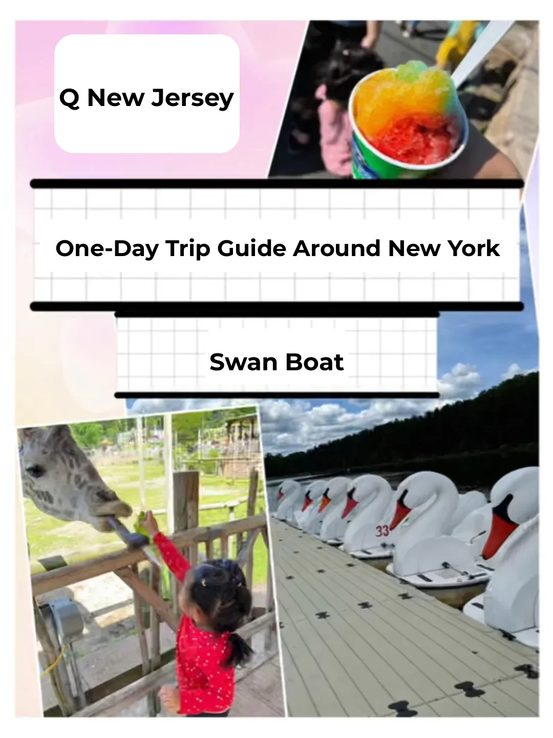 Top Spots for Chilling with BF, Hubby, Kids, and Pups Around NYC 🔥