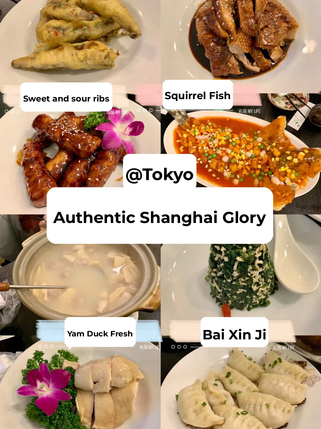 📍Sugamo 🌟 Savoring Authentic Shanghai Cuisine at "Da Ji Yuan" in Tokyo