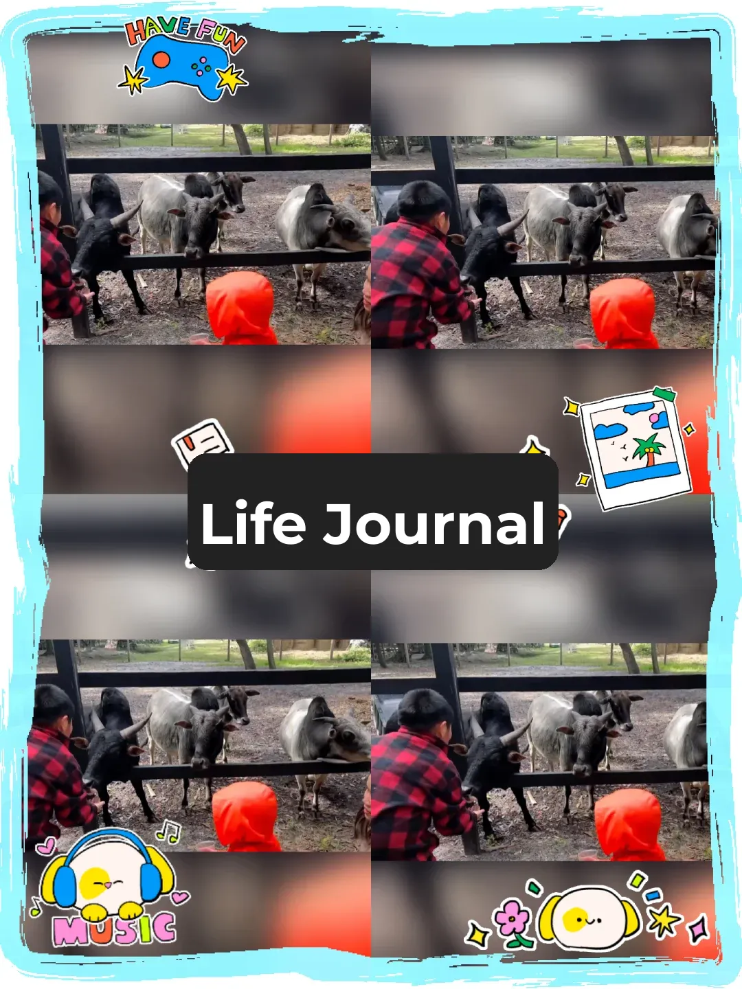 First Stop for Family Fun in 2024: Feeding Sheep 🐑🐑