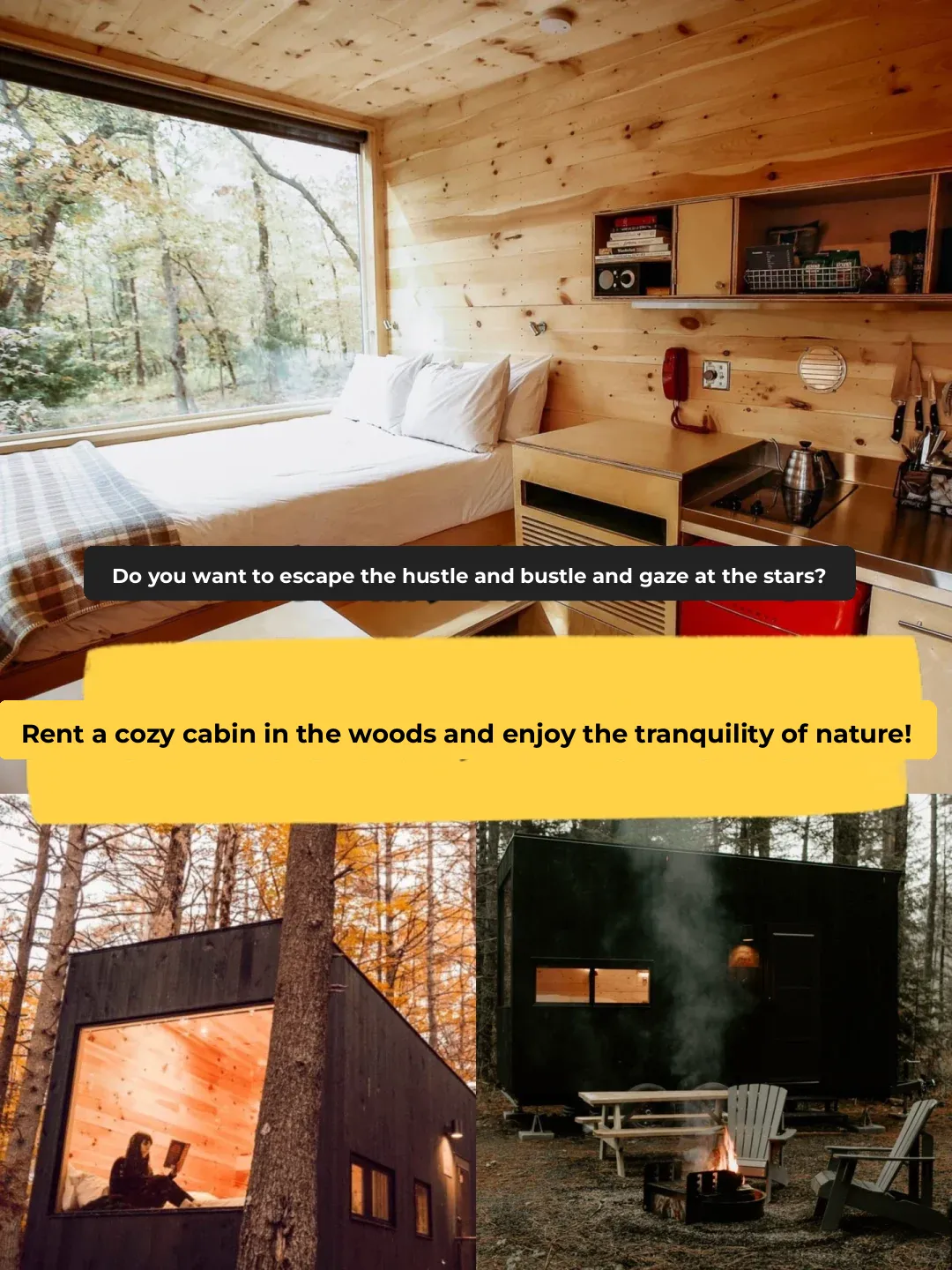 Rent a 🏡 Forest Cabin and Enjoy the Serenity of the Outdoors!