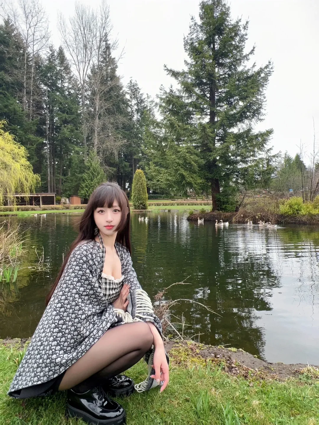 Seattle's Hidden Gem Park 🐏 Featuring Chickens, Ducks, Geese, Sheep, and Cherry Blossoms with a Waterwheel 🌸