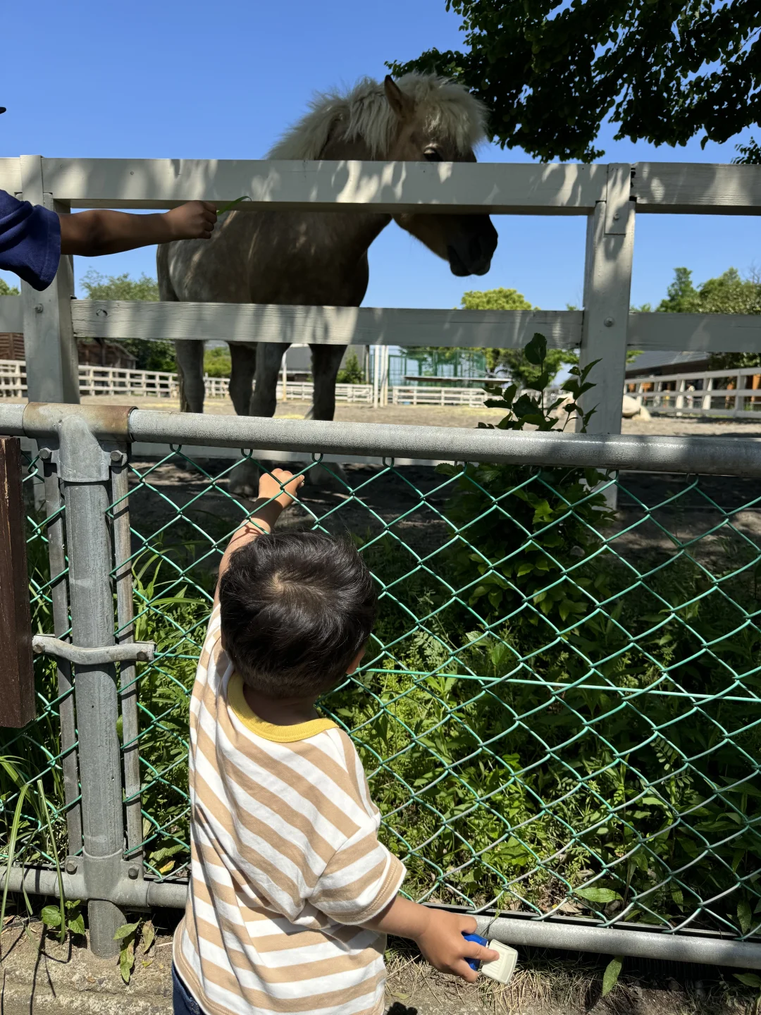 Weekend Kid-Friendly Spots in Tokyo
