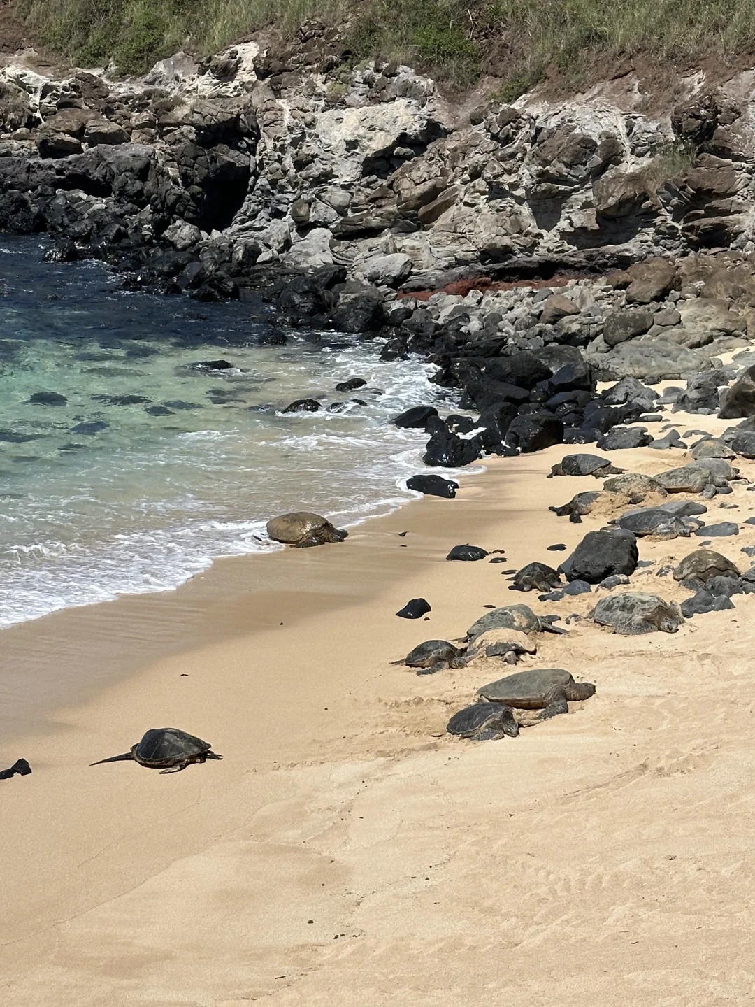 Maui 6-Day 5-Night Babymoon