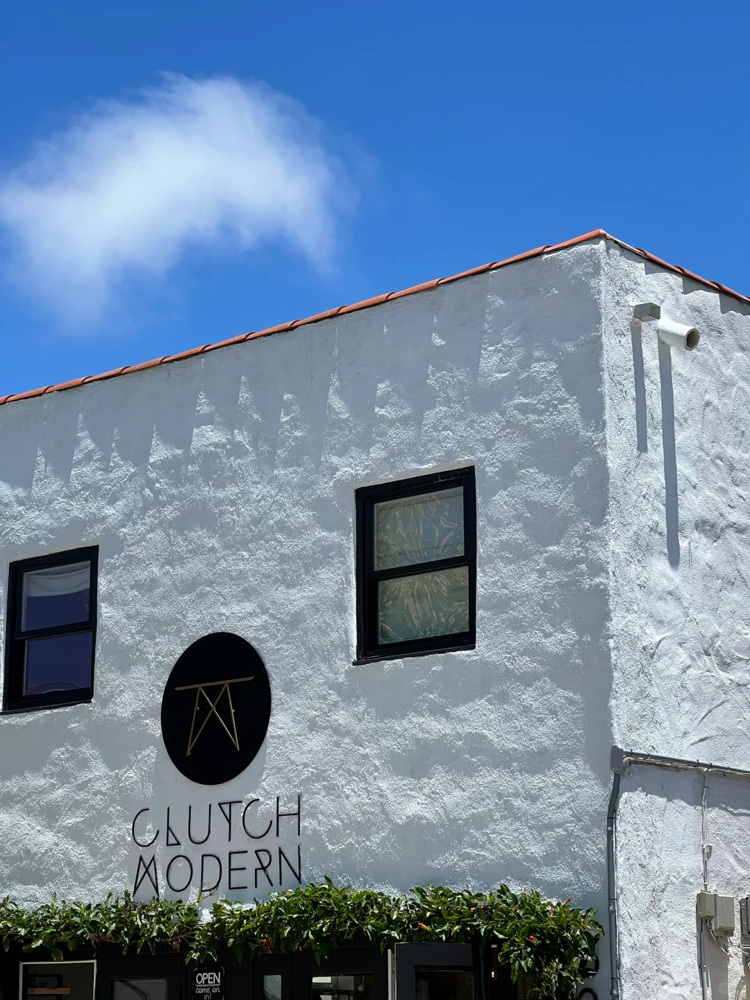 Hidden Gem in San Diego: A Charming Seaside Art District Worth Exploring