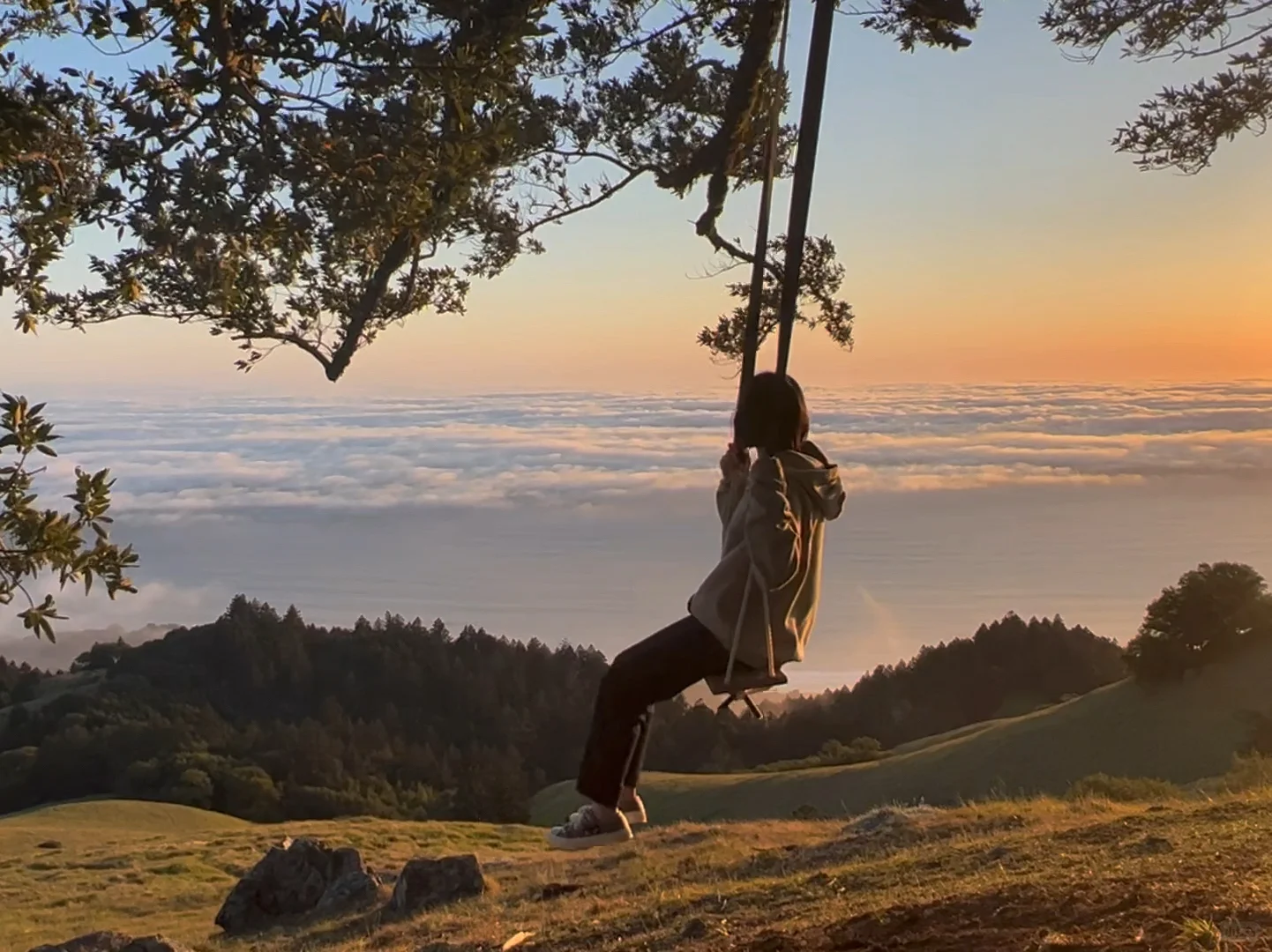 "Sky-High Adventures"