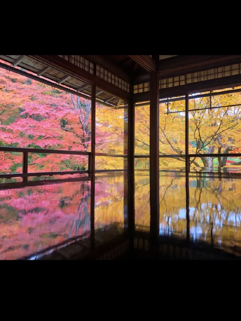 Kyoto 🍁 Autumn Travel 🌺 3 Days 2 Nights Guide for College Girls