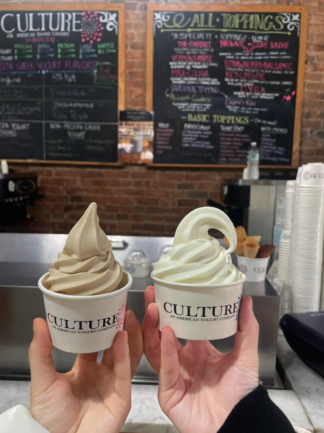 New York | This Yogurt Ice Cream in Brooklyn is a Delightful Surprise 🍦