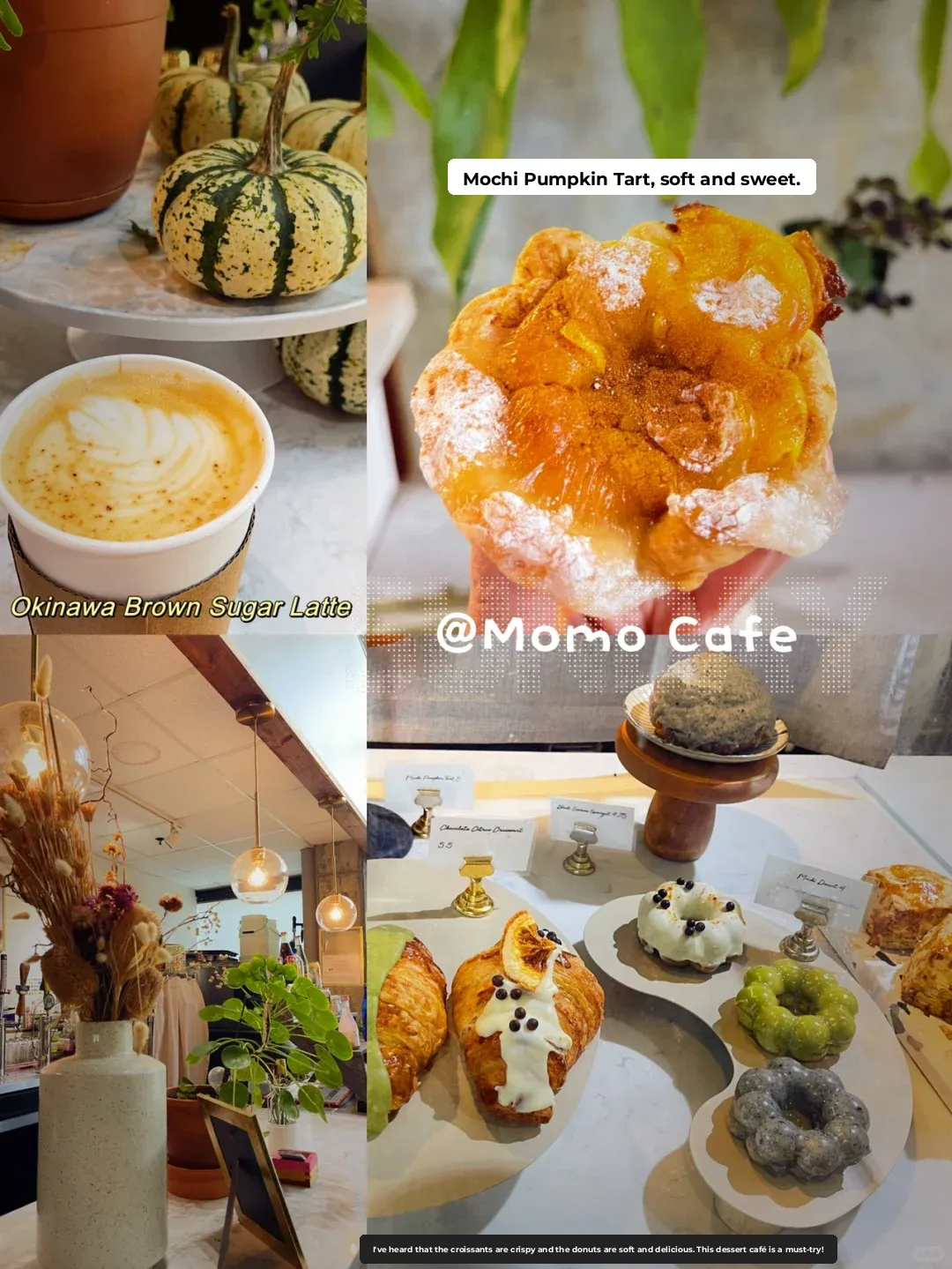 Atlanta | Downtown Japanese Dining by Day & Night + Autumn Strolls at the Botanical Garden