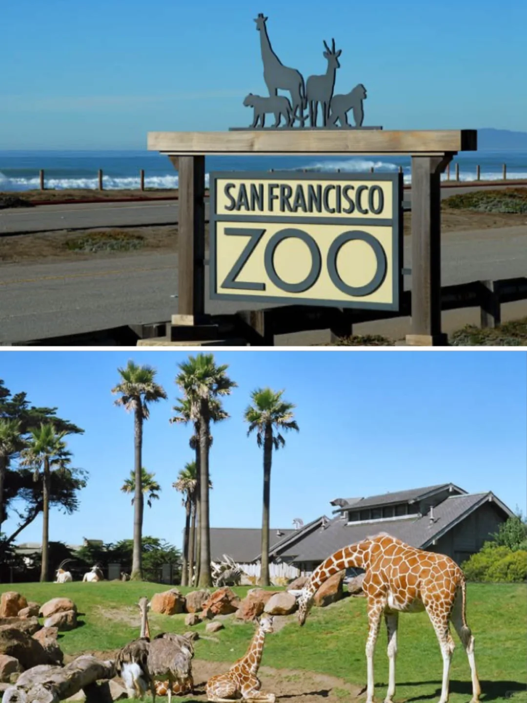 Top Free Kid-Friendly Spots in the Bay Area for a Fun Day Out