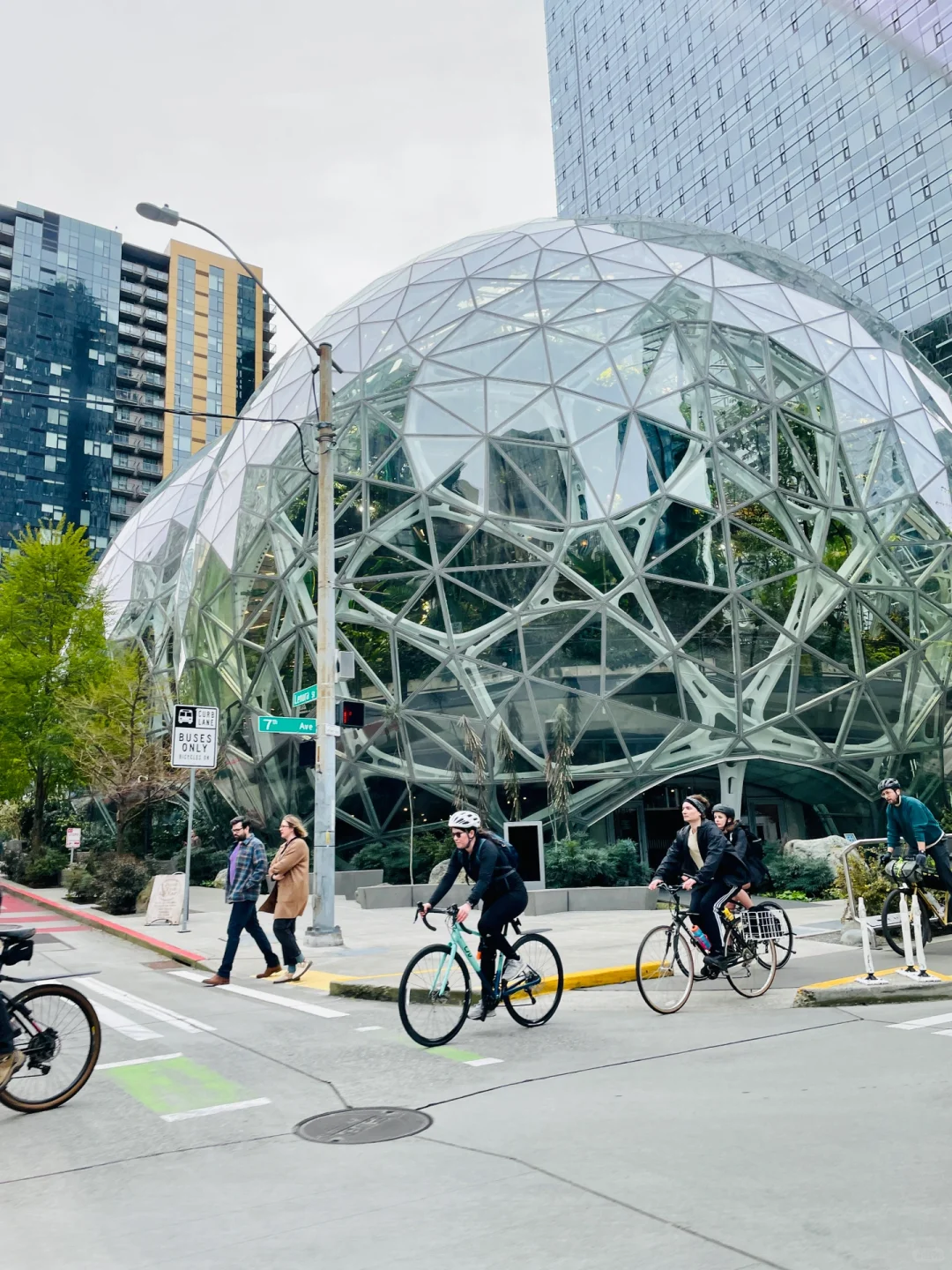 The Best Time to Visit Seattle? Definitely April!!!