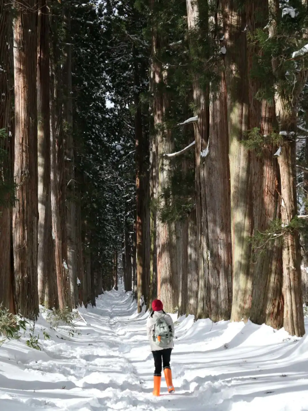 Winter Wonderland: A Must-Visit in Nagano