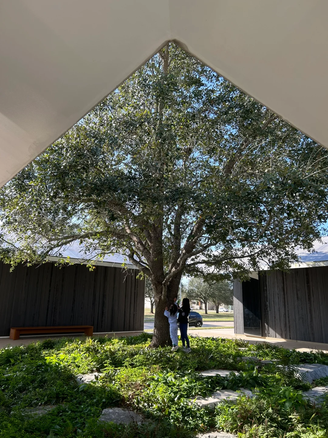 Hidden Gems of Houston