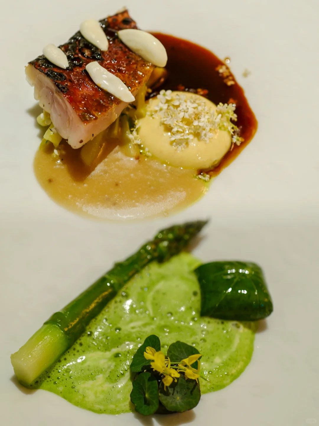 Paris | The Rising Star of Seasoning Wizards, A Must-Visit for All Foodies