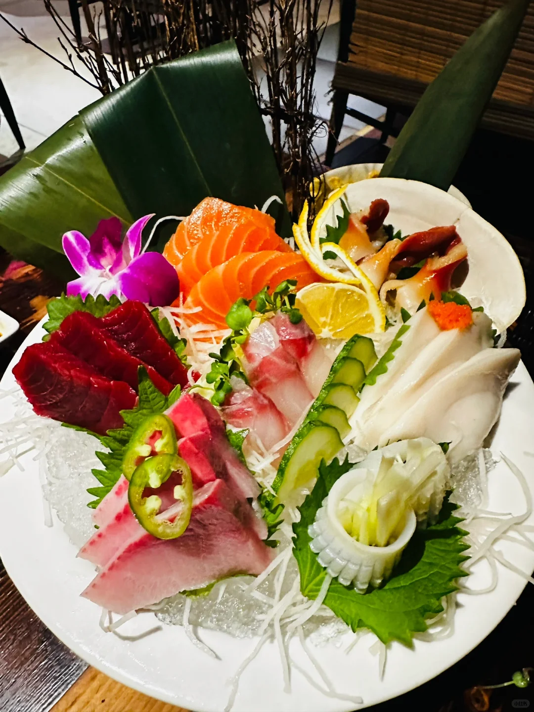 "10-Year-Old Affordable Izakaya 🏮 Only $25 Per Person! NYC Foodie Adventure #238"