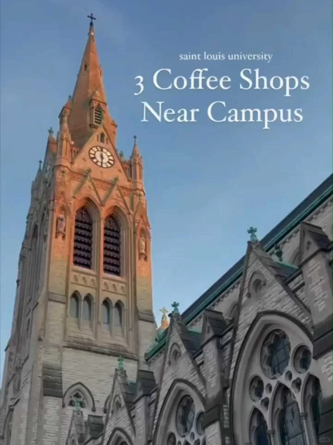 🌟【Café Hopping Guide for SLU Students】🌟