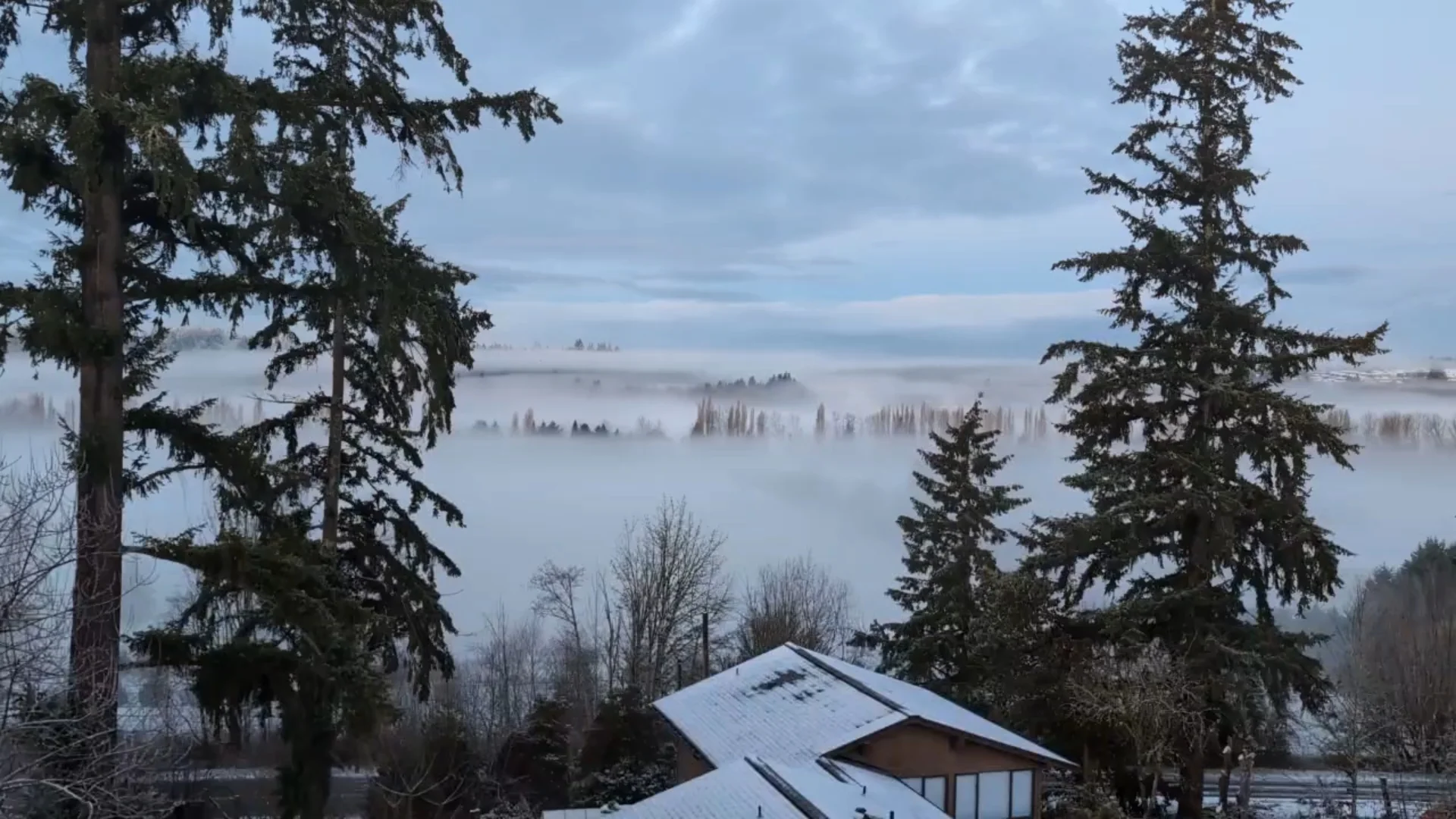 Seattle's Winter Beauty