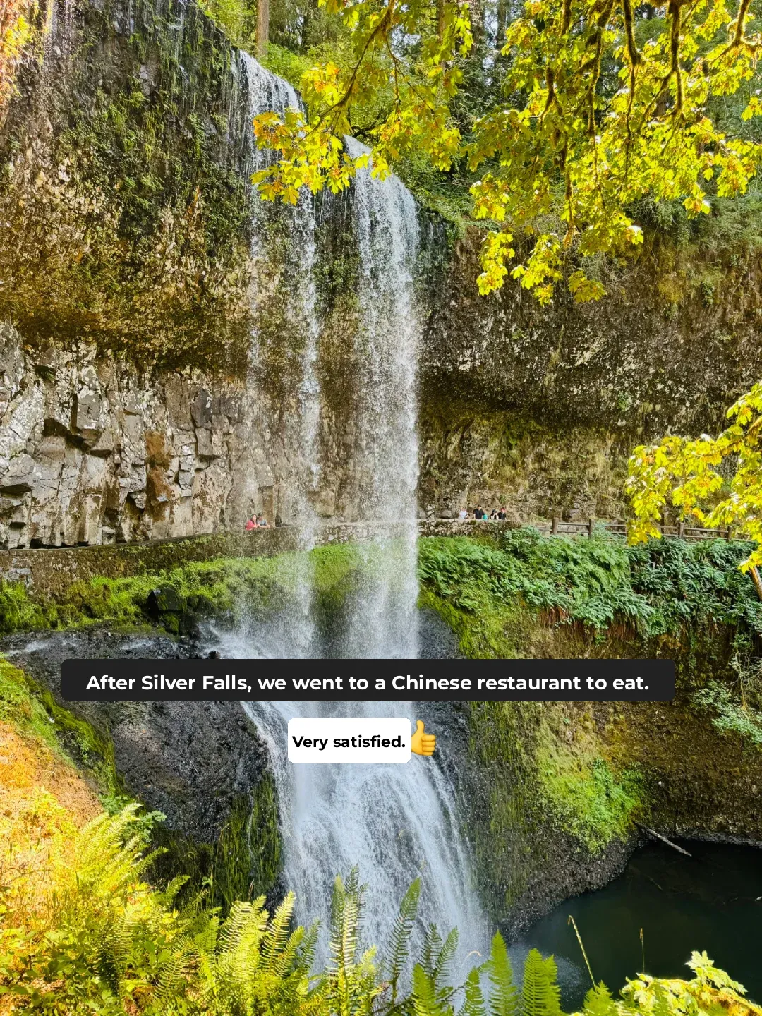 "Dining at a Chinese Restaurant in Silver Falls, Portland"