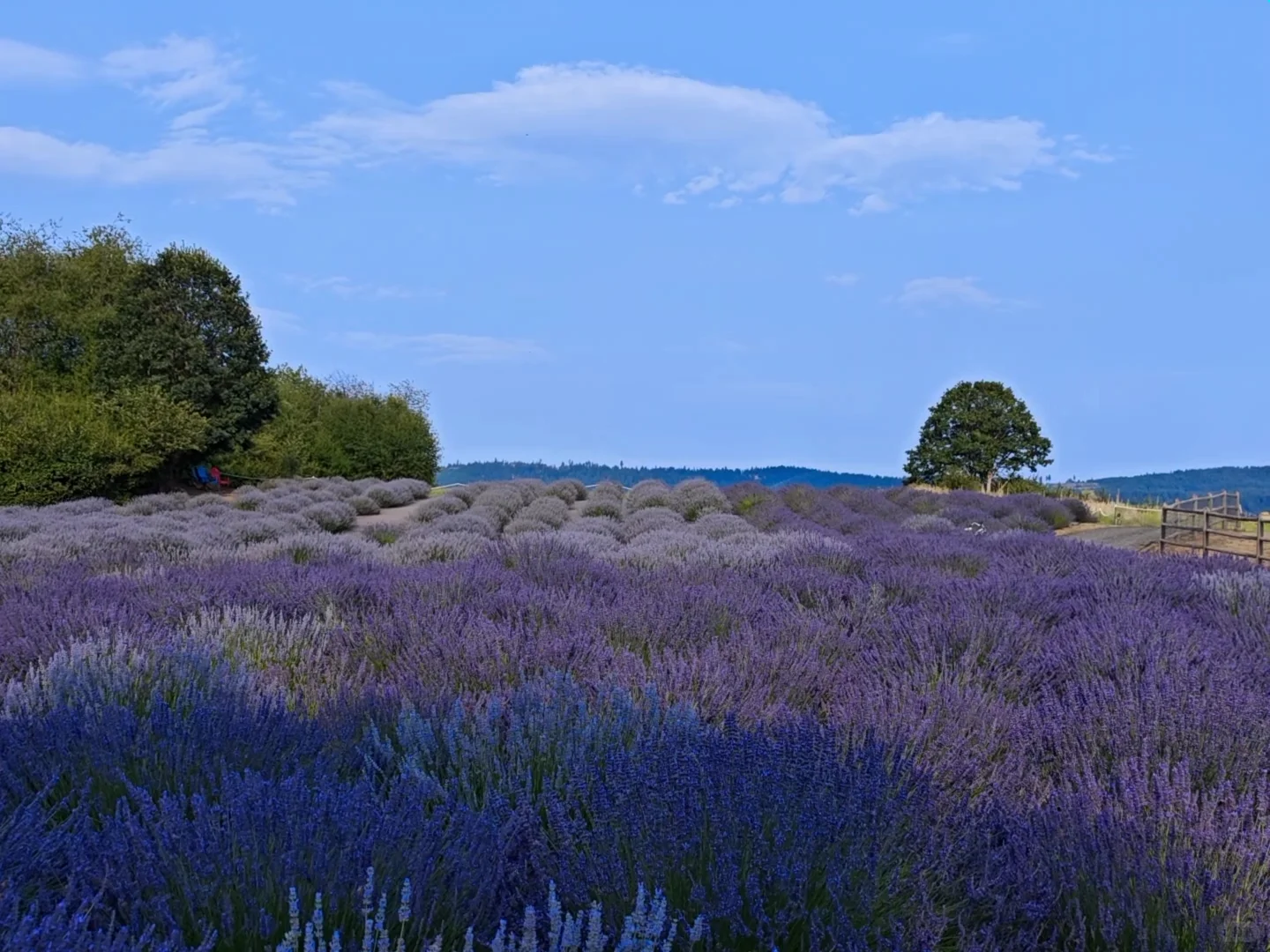 Seattle Weekend Speedrun: Must-See Portland Landmarks 🏔🏖