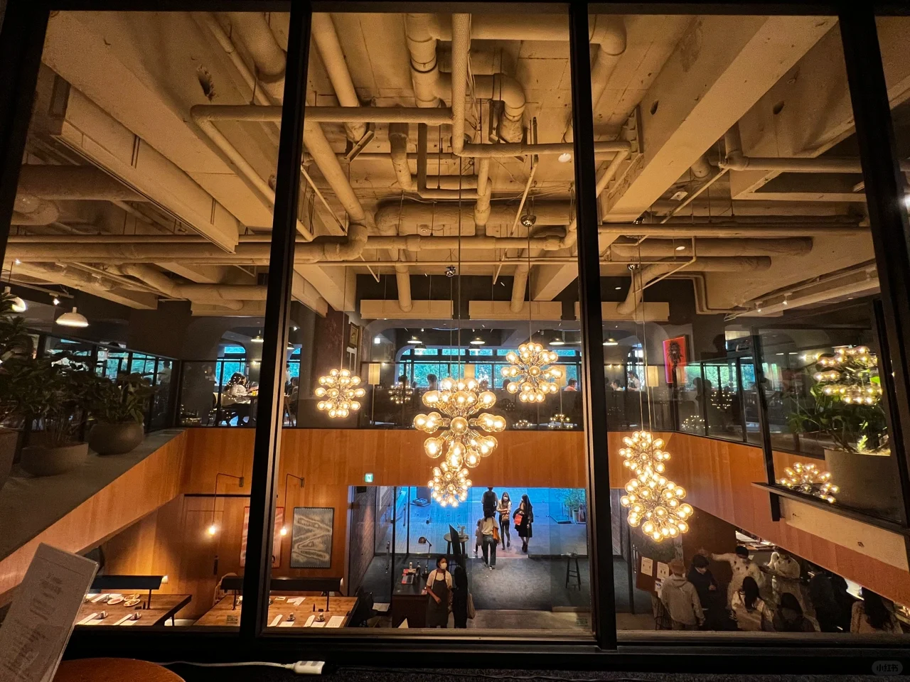 This Western spot in Shinjuku is seriously delish! 😋