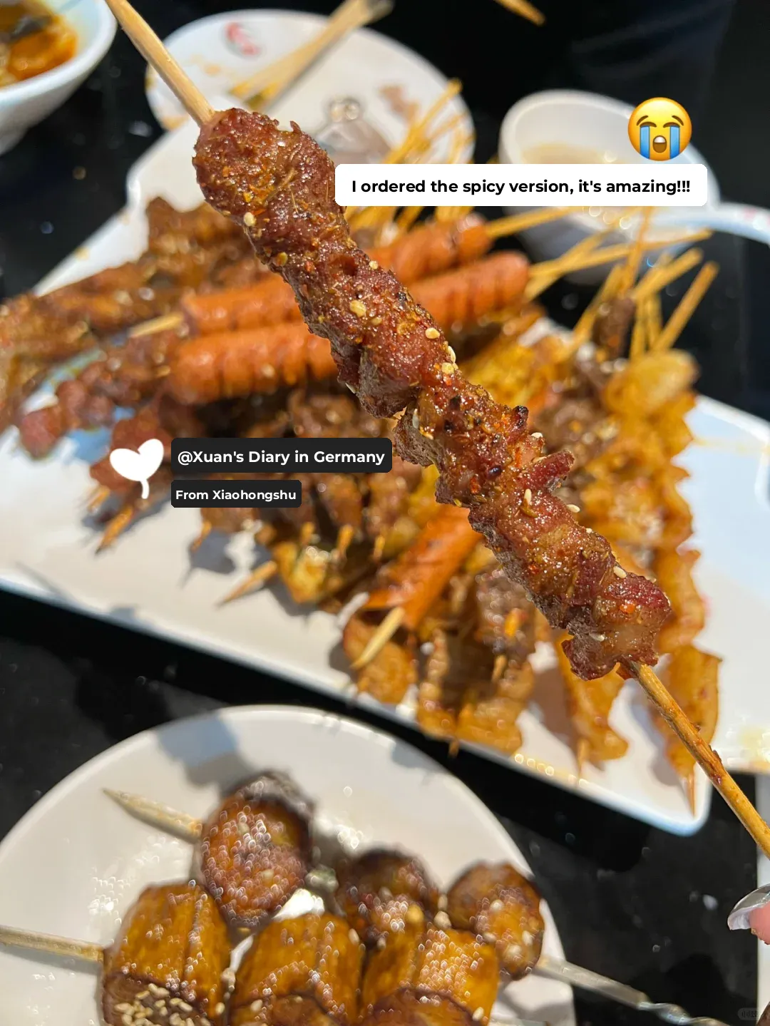 Found a 25€ Northeastern BBQ Buffet in 🇫🇷 | Totally Flipped Out!!!