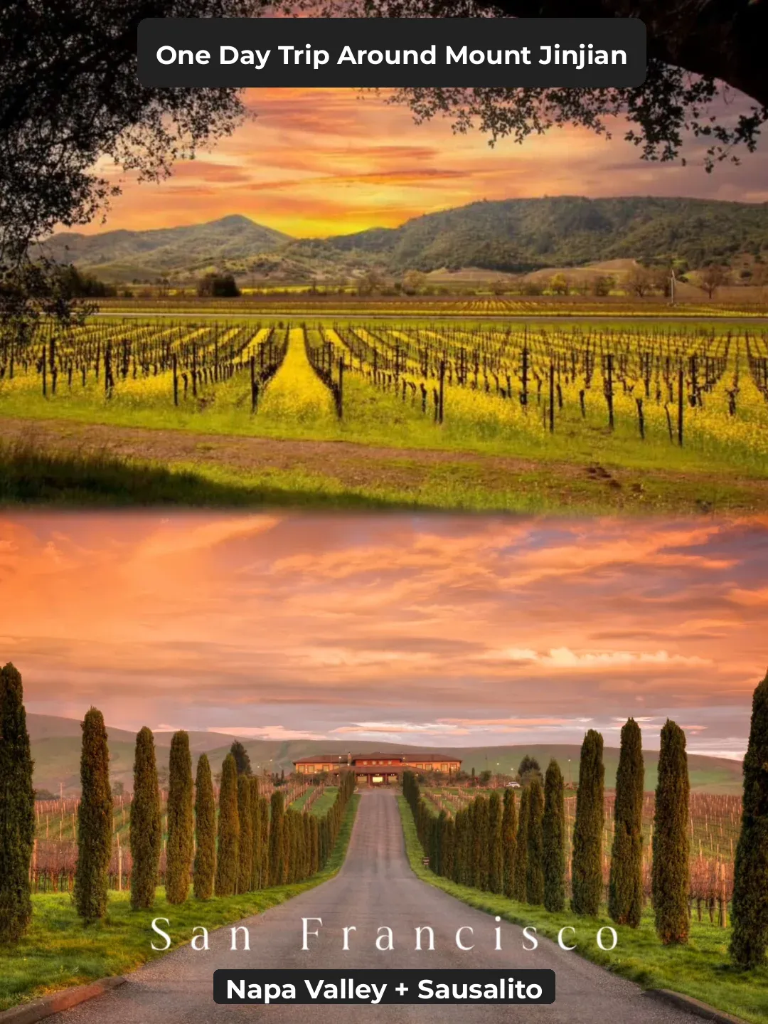 Day Trip Around San Francisco | Napa Winery & Art Town Must-Visit