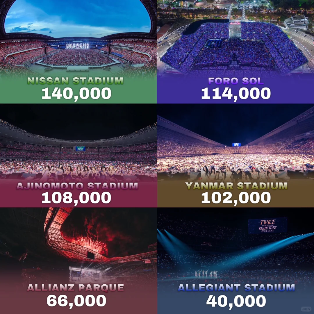 Rabbit's Gotta Be at the Stadium ❗❗