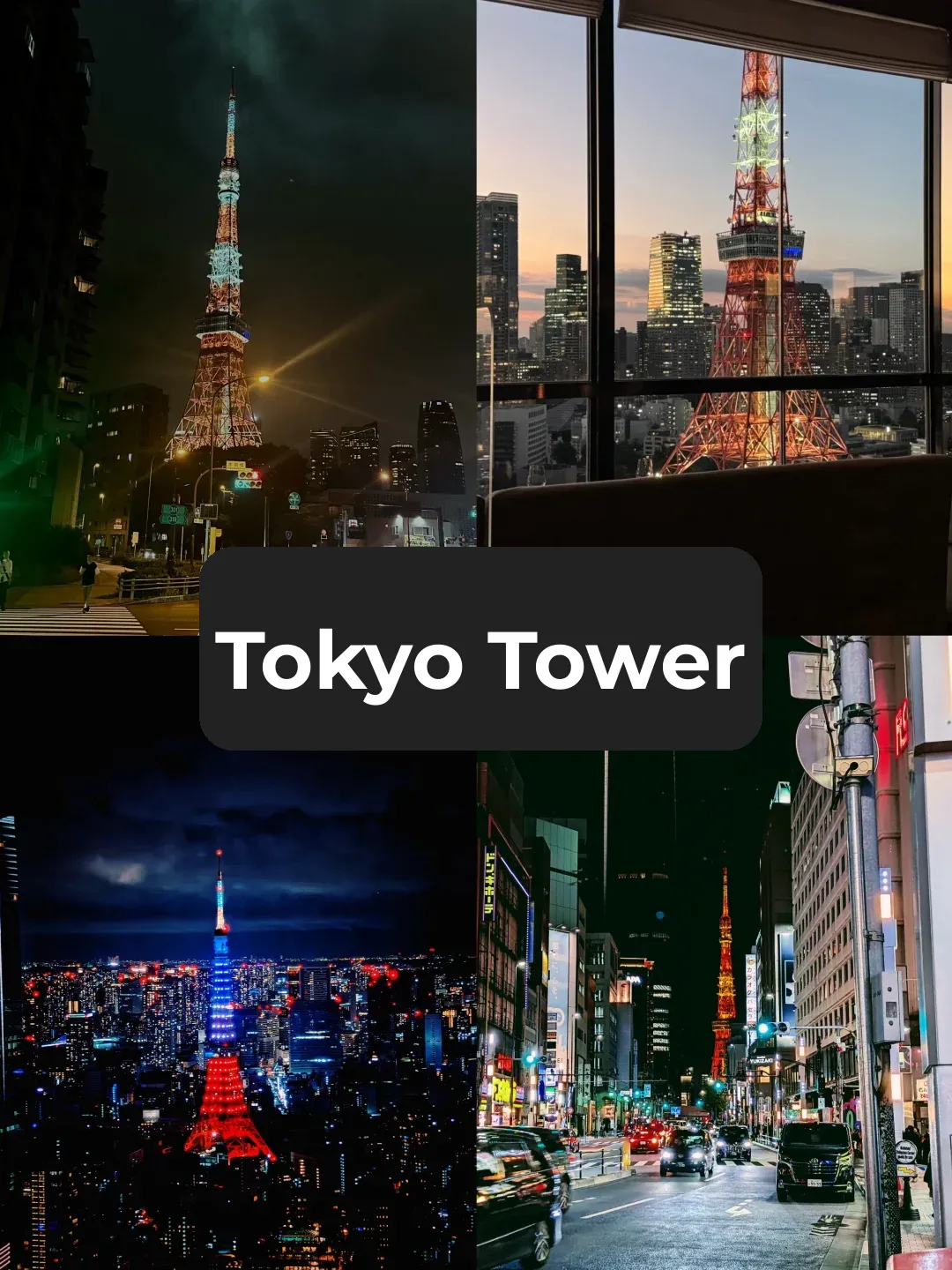 Tokyo Travel Survival Guide: Red Flags & Must-Dos ‼️ Helping One Traveler at a Time