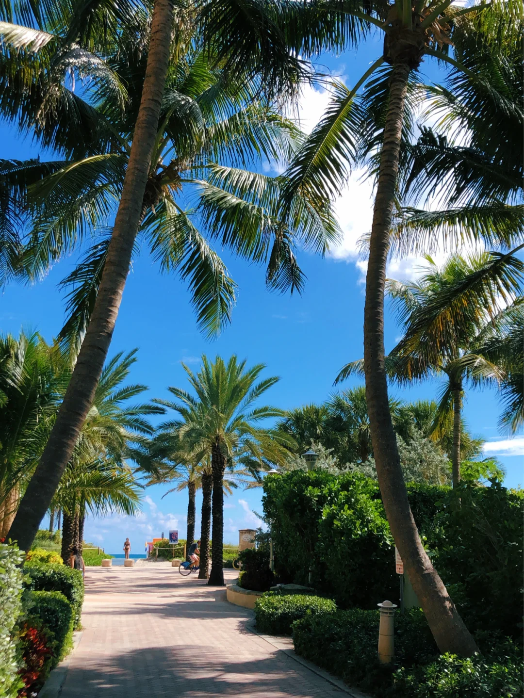 Miami 🇺🇸 Travel Guide 1⃣️: A Chill Day at the Beach