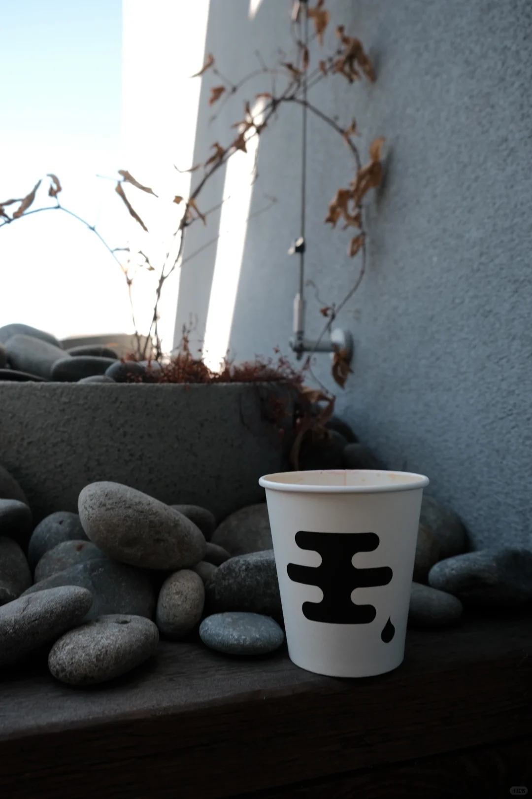 Bay Area Eats | My Favorite Pop-Up is Back!