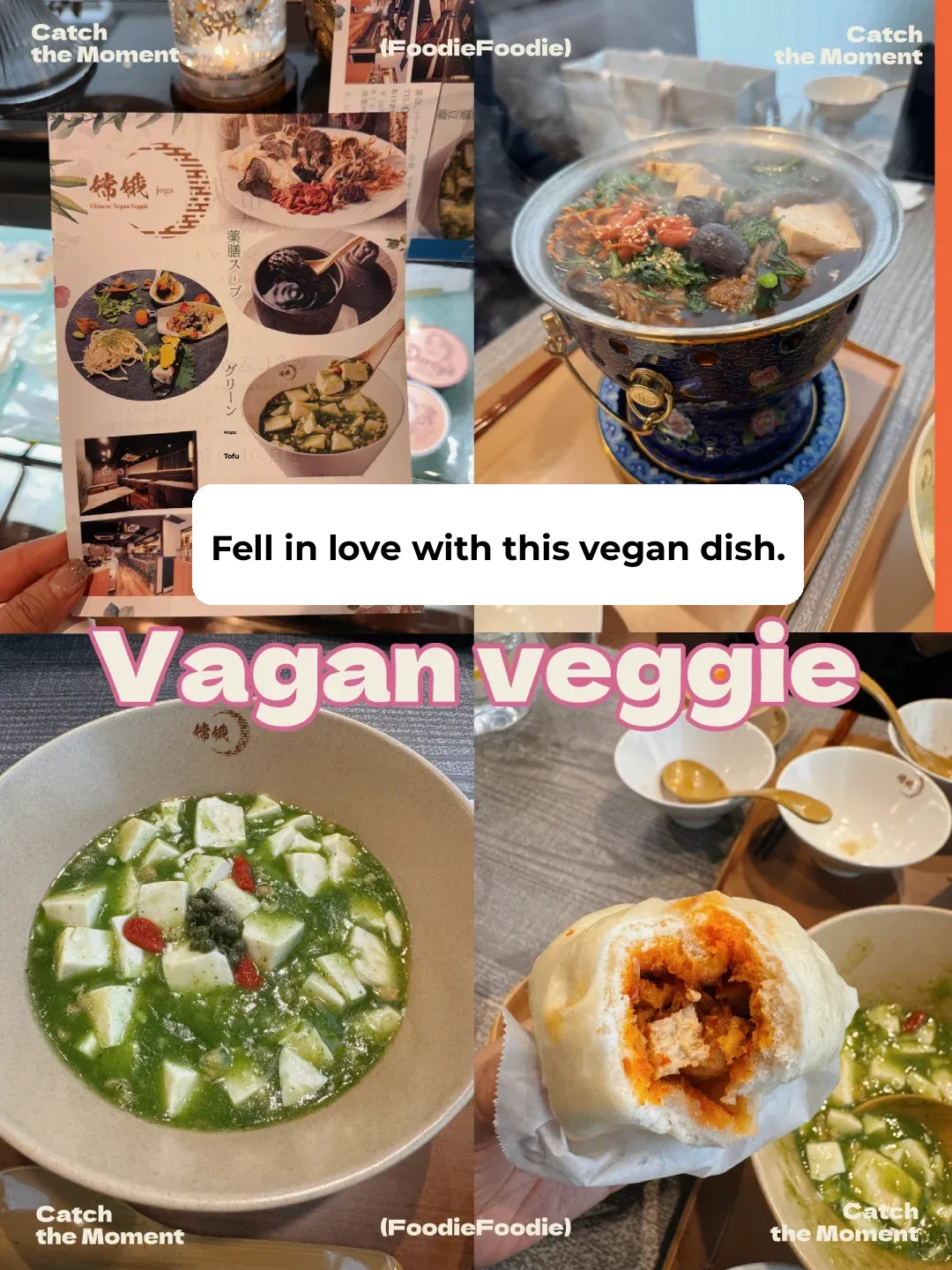 Vegan Delights Await! Foodie Adventure in Omotesando
