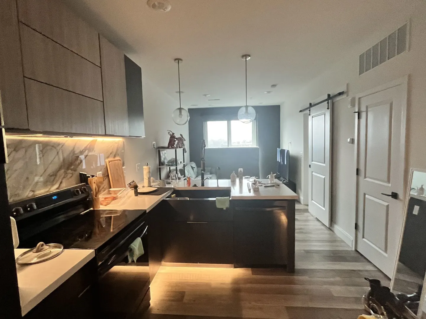 Sublease for 1B1B Apartment at The Hudson in St. Louis