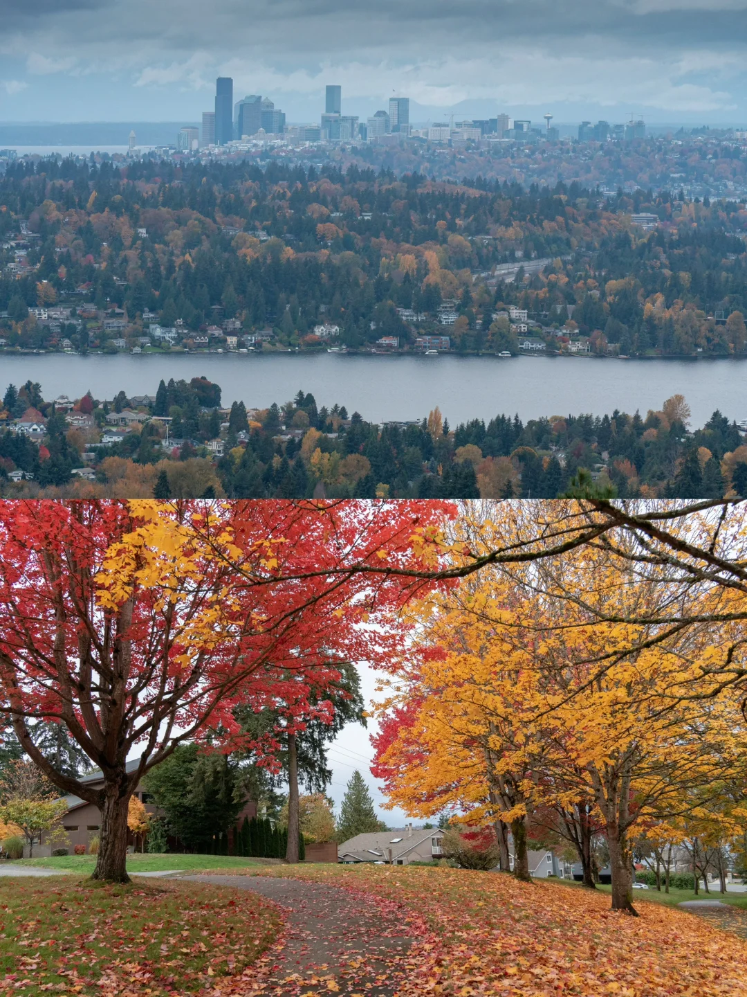2024: My Autumn Chronicles of Seattle in These Locations