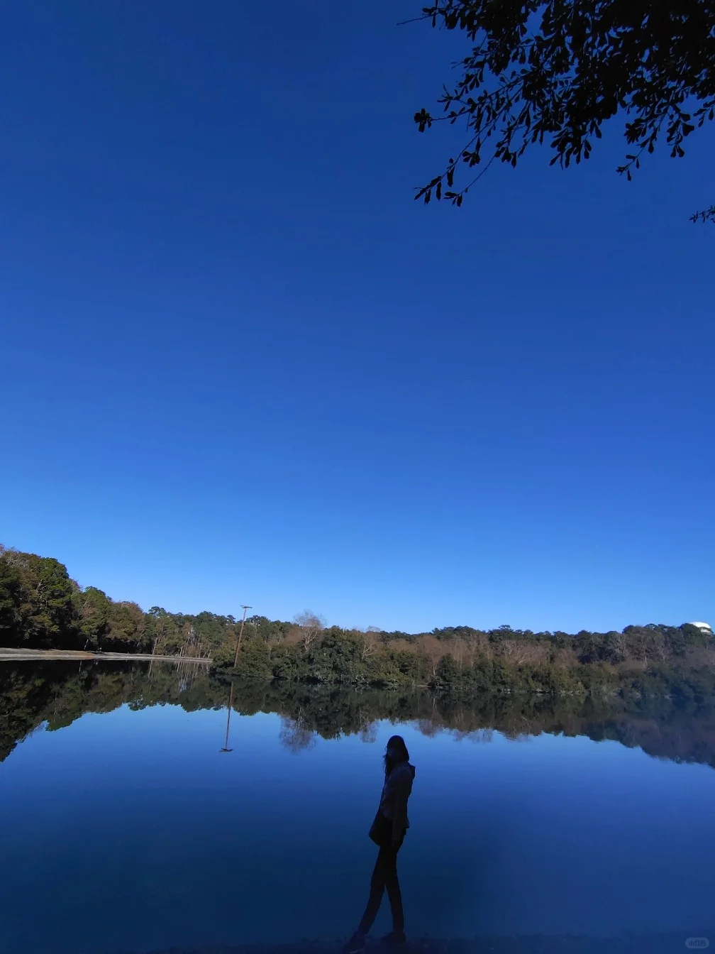 "Hidden Gems of Savannah: Exploring the Town's Secret Scenery"