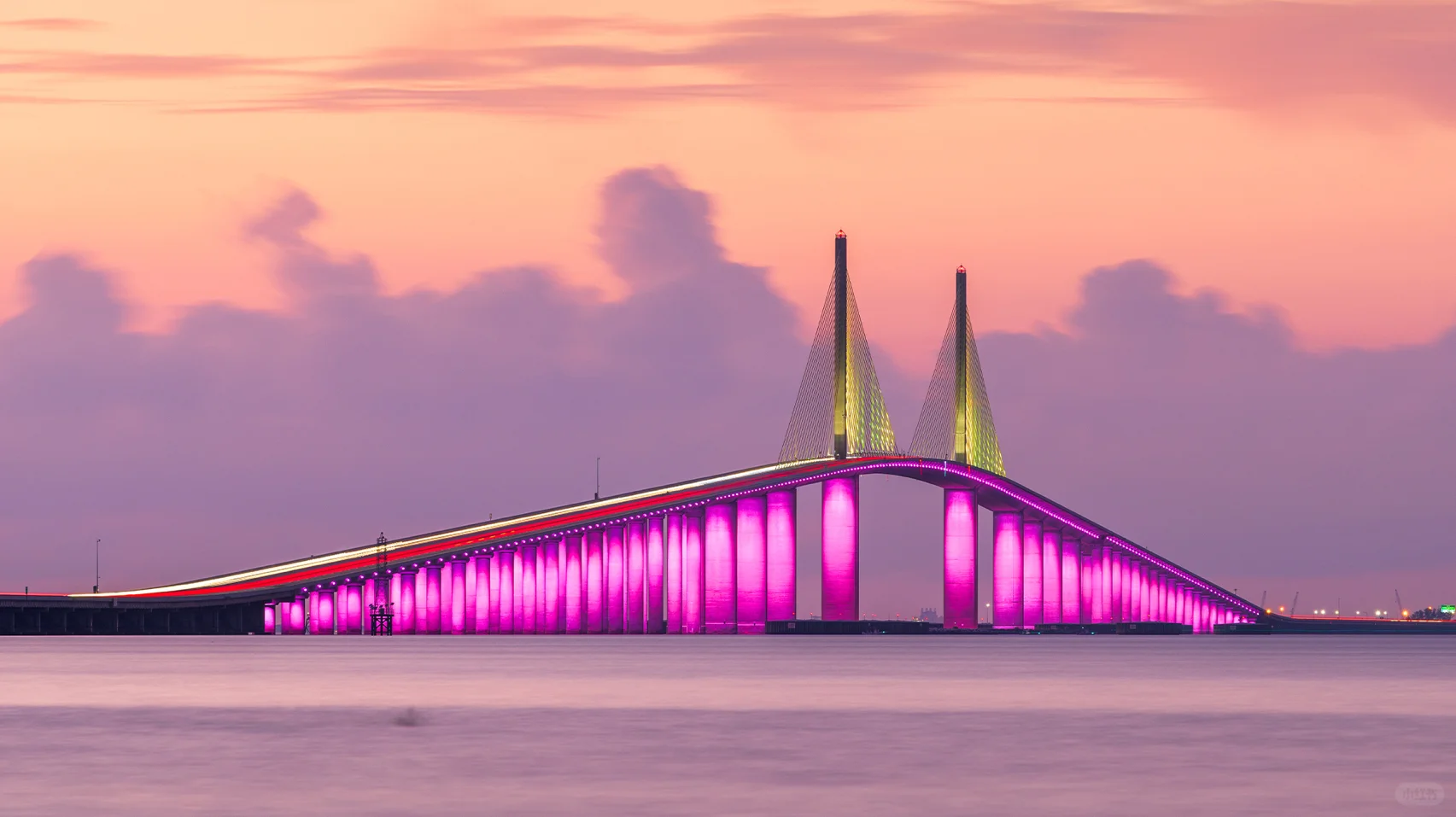 Tampa: The Sun-Kissed Gem of the West Coast – A Beauty and Charm You Can't Miss