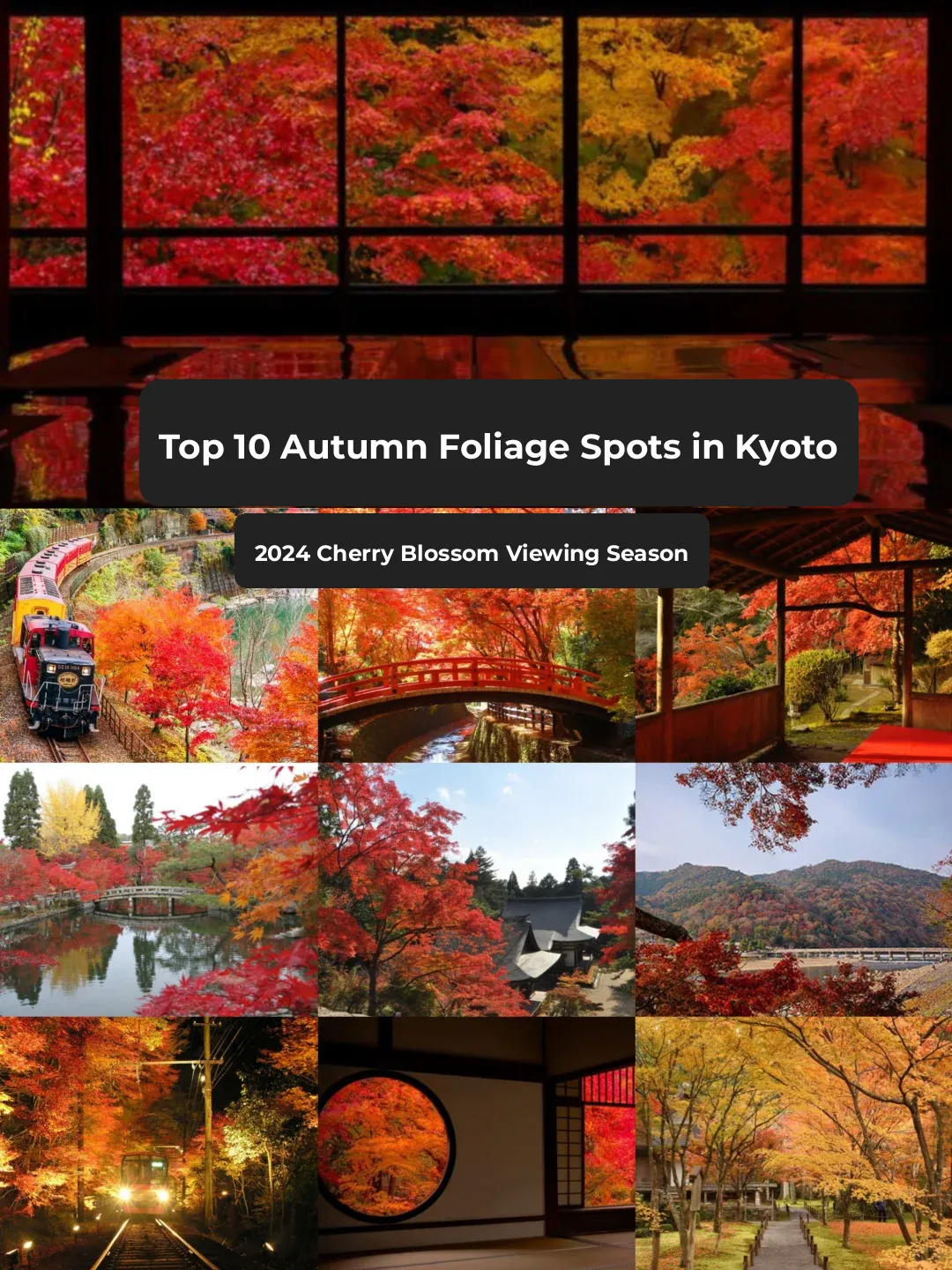 Top 10 Kyoto Autumn Foliage Spots | 2024 Fall Colors Forecast