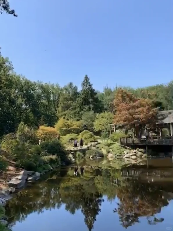 Washington DC with Kids – Giant Playground Stadium + Japanese Garden +