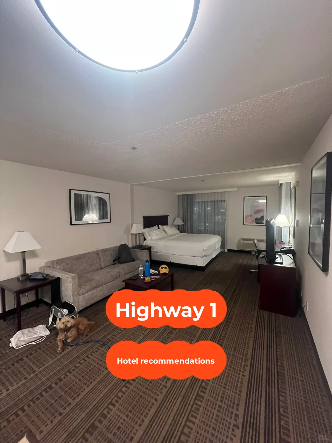"Top Hotel Recommendations Along Highway 1"