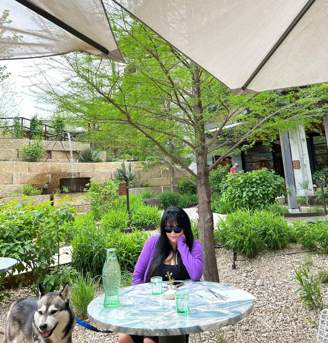 What I've Been Up to Lately in Austin