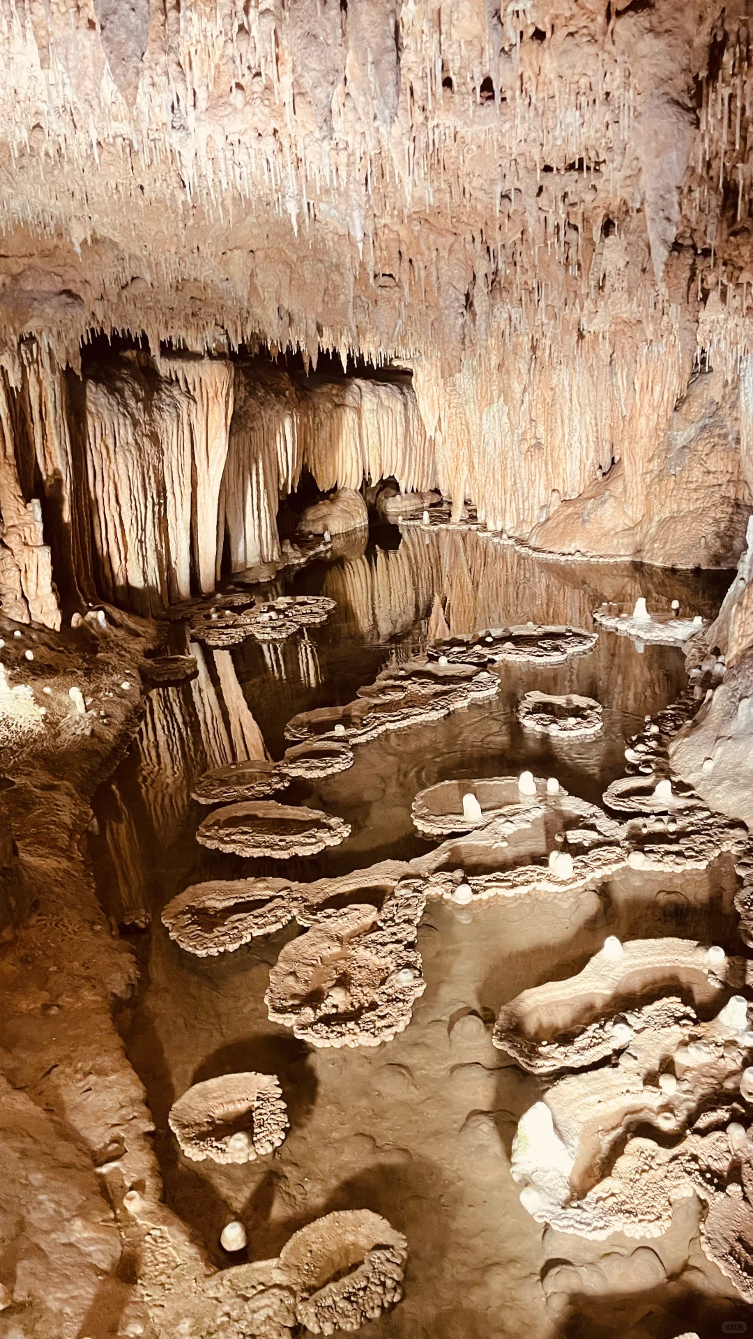 Autumn Break Adventure: Stalactites of the Saint Louis Cave